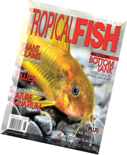 tropical fish hobbyist magazine subscription